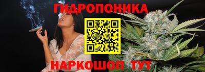 спиды Гагарин
