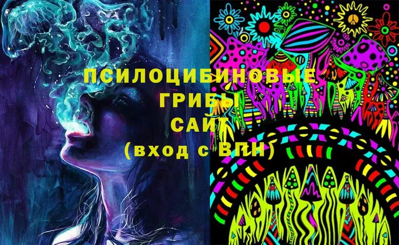 Галлюциногенные грибы MAGIC MUSHROOMS  хочу   Рязань 