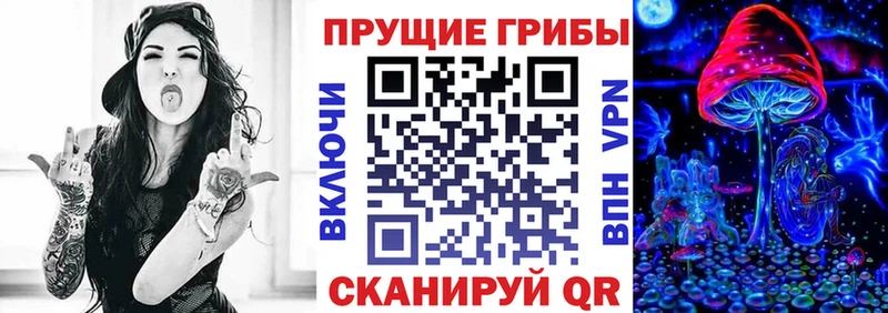 что такое   гидра зеркало  Псилоцибиновые грибы Psilocybine cubensis  Рязань 