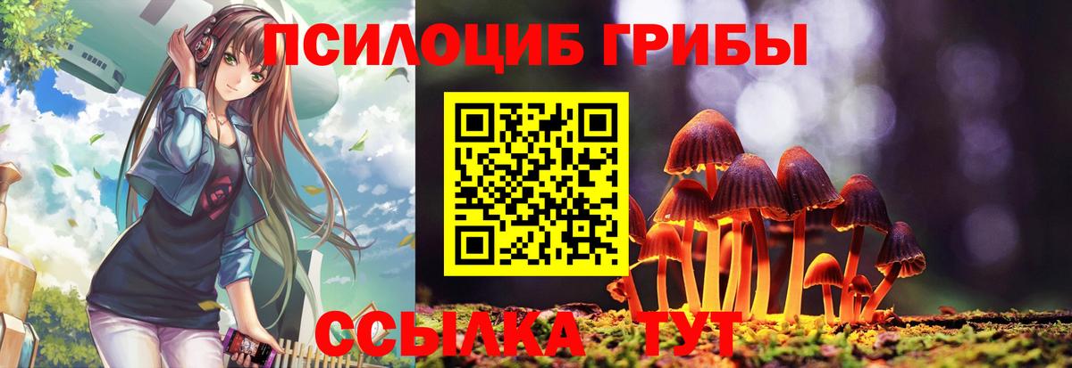 Рязань  Псилоцибиновые грибы GOLDEN TEACHER  Вход с VPN 